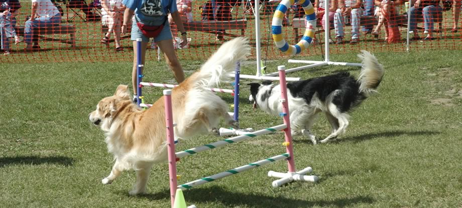 Capital District Scottish Games